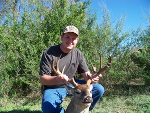 Whitetail
